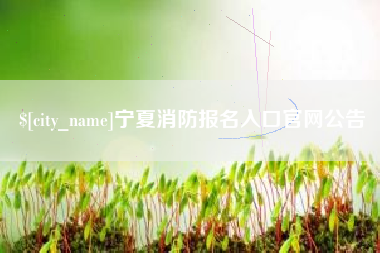 秦皇岛宁夏消防报名入口官网公告