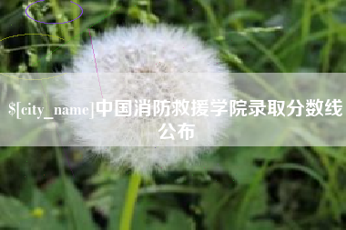 秦皇岛中国消防救援学院录取分数线公布