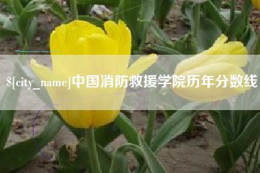 秦皇岛中国消防救援学院历年分数线