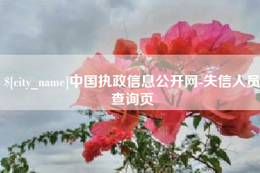 秦皇岛中国执政信息公开网-失信人员查询页