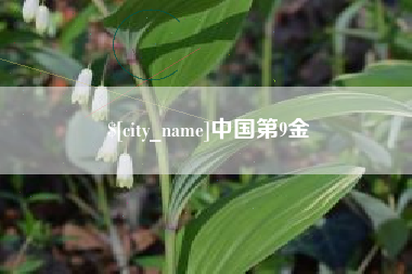 秦皇岛中国第9金
