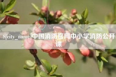 秦皇岛中国消防官网中小学消防公开课