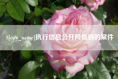 秦皇岛执行信息公开网查到的案件