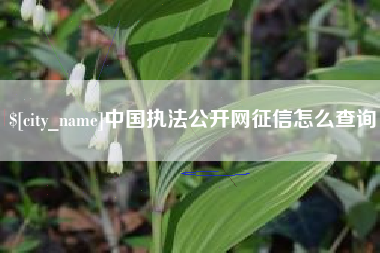 秦皇岛中国执法公开网征信怎么查询