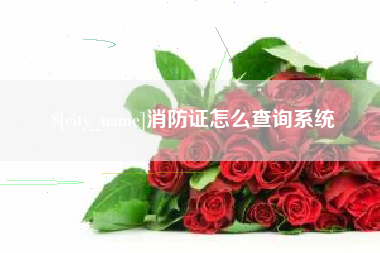 秦皇岛消防证怎么查询系统