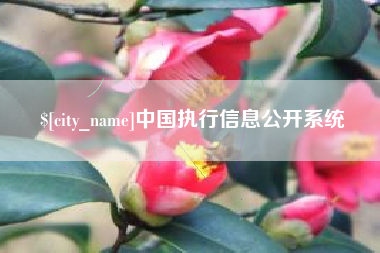 秦皇岛中国执行信息公开系统