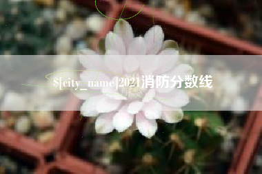 秦皇岛2021消防分数线