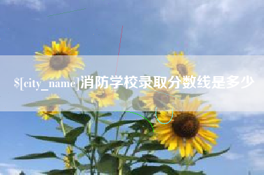 秦皇岛消防学校录取分数线是多少