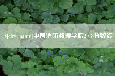 秦皇岛中国消防救援学院2018分数线