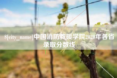 秦皇岛中国消防救援学院2020年各省录取分数线