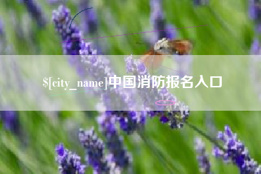 秦皇岛中国消防报名入口