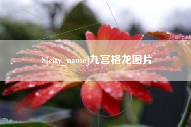 秦皇岛九宫格龙图片
