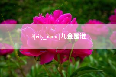 秦皇岛九金是谁