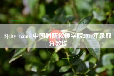 秦皇岛中国消防救援学院2019年录取分数线