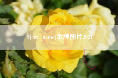 秦皇岛金牌图片2021