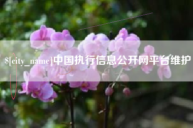 秦皇岛中国执行信息公开网平台维护
