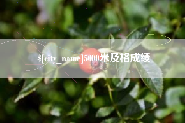 秦皇岛5000米及格成绩