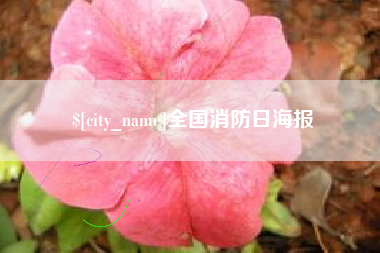 秦皇岛全国消防日海报