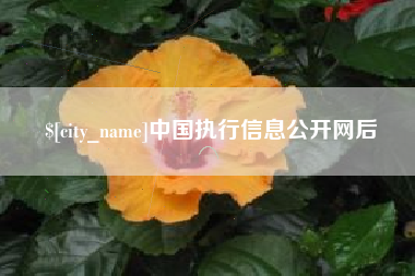 秦皇岛中国执行信息公开网后