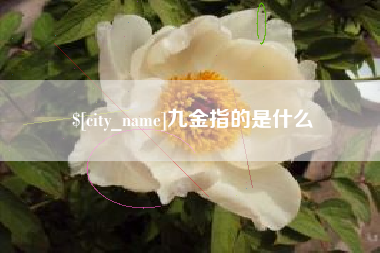秦皇岛九金指的是什么