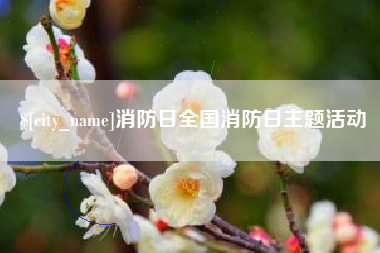 秦皇岛消防日全国消防日主题活动