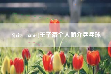 秦皇岛王子豪个人简介乒乓球