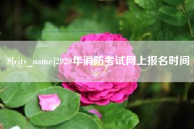 秦皇岛2020年消防考试网上报名时间