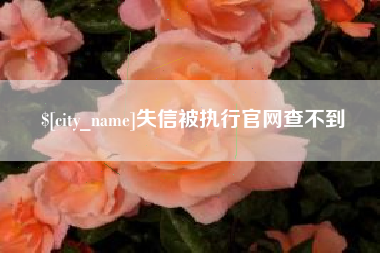 秦皇岛失信被执行官网查不到