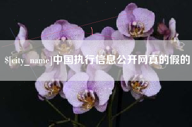 秦皇岛中国执行信息公开网真的假的
