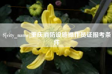 秦皇岛重庆消防设施操作员证报考条件