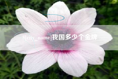 秦皇岛我国多少个金牌