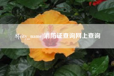 秦皇岛消防证查询网上查询