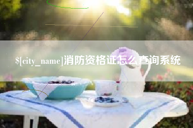 秦皇岛消防资格证怎么查询系统