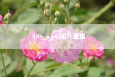 秦皇岛第九金是