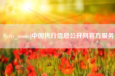 秦皇岛中国执行信息公开网官方服务