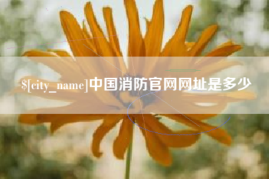 秦皇岛中国消防官网网址是多少