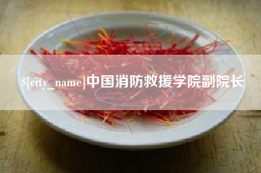 秦皇岛中国消防救援学院副院长