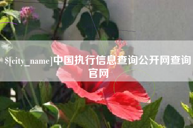 秦皇岛中国执行信息查询公开网查询官网
