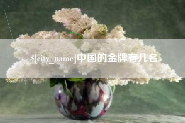 秦皇岛中国的金牌有几名