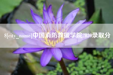 秦皇岛中国消防救援学院2020录取分