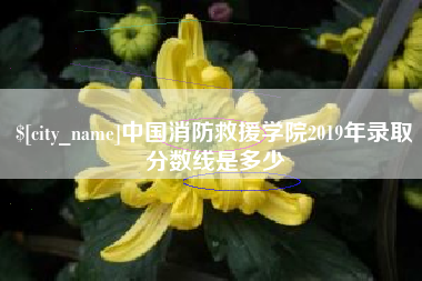 秦皇岛中国消防救援学院2019年录取分数线是多少