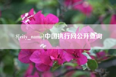 秦皇岛中国执行网公开查询