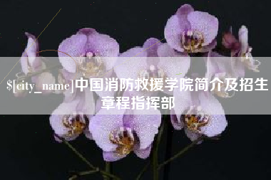 秦皇岛中国消防救援学院简介及招生章程指挥部