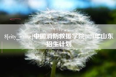 秦皇岛中国消防救援学院2021年山东招生计划