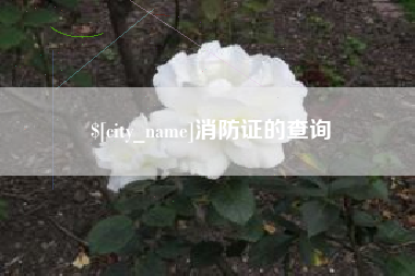 秦皇岛消防证的查询