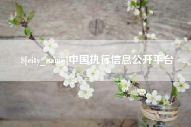 秦皇岛中国执行信息公开平台