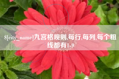 秦皇岛九宫格规则,每行,每列,每个粗线都有1-9