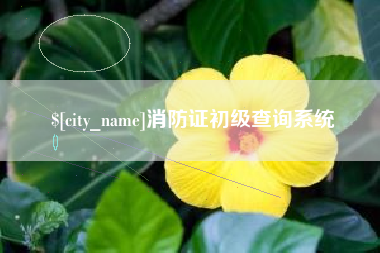 秦皇岛消防证初级查询系统