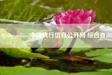 秦皇岛中国执行信息公开网 综合查询