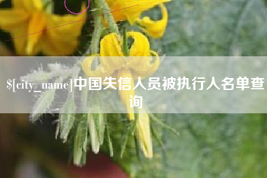 秦皇岛中国失信人员被执行人名单查询